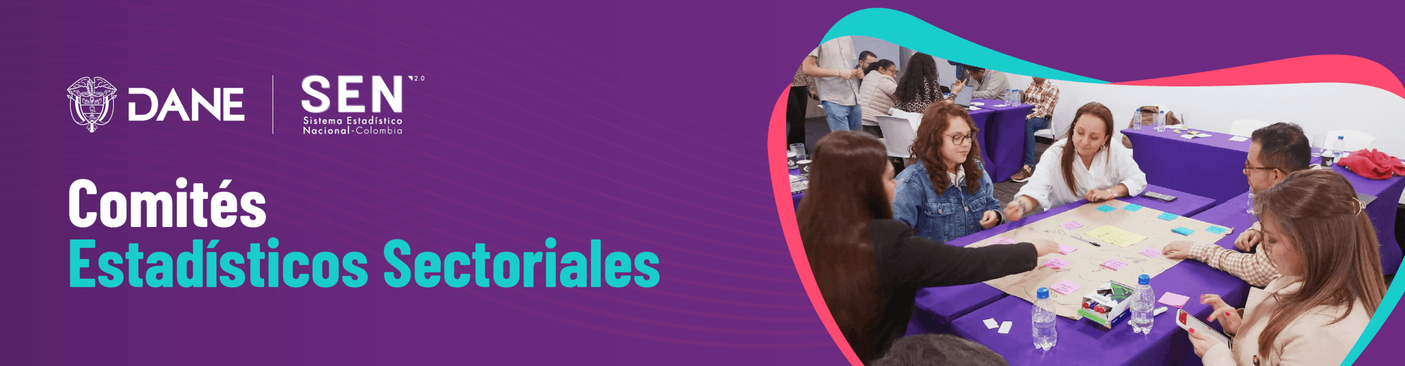 Comités Estadísticos Sectoriales